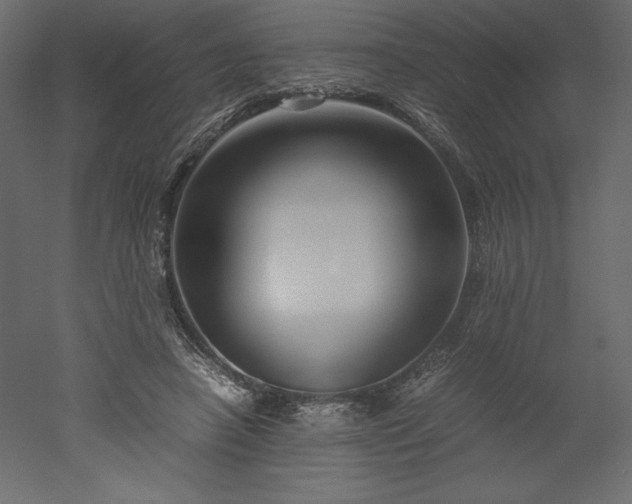 X0000051900450200507011511