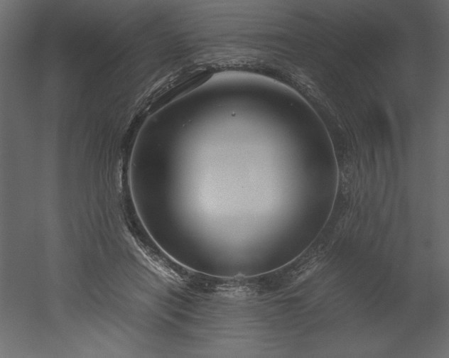 X0000051900454200507011512