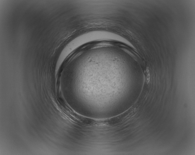 X0000051900456200507011512