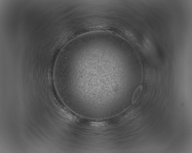 X0000051900457200507011512