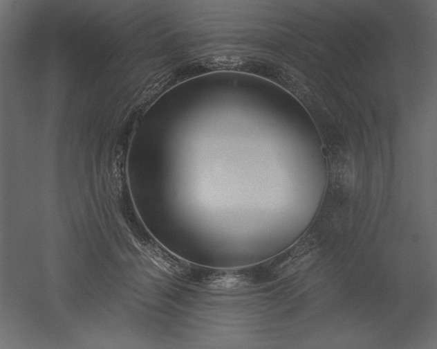 X0000051900460200507011512
