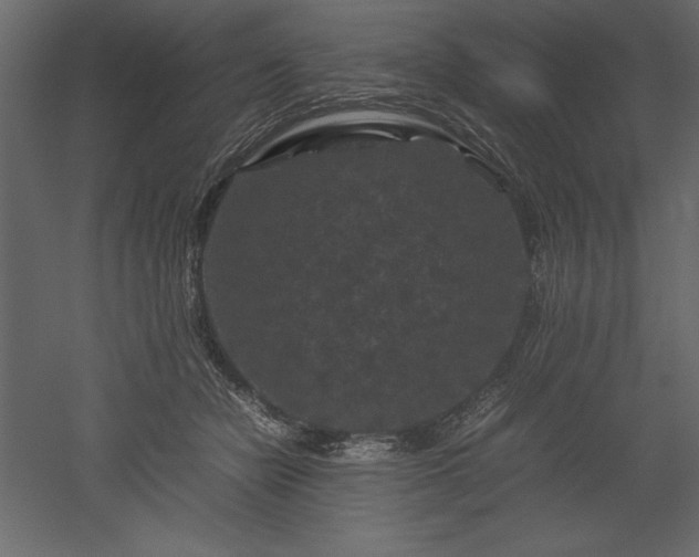 X0000051900462200507011512