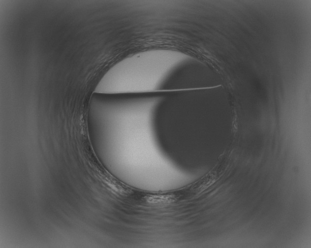 X0000051900465200507011512