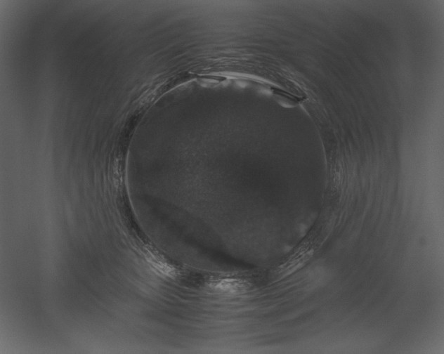 X0000051900467200507011512
