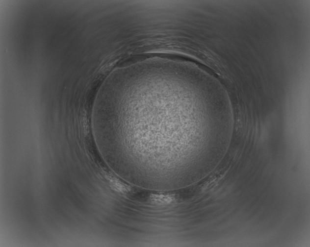 X0000051900469200507011512