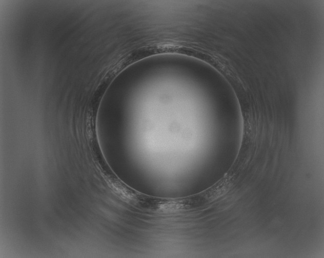 X0000051900470200507011512