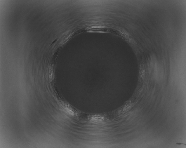 X0000051900471200507011512