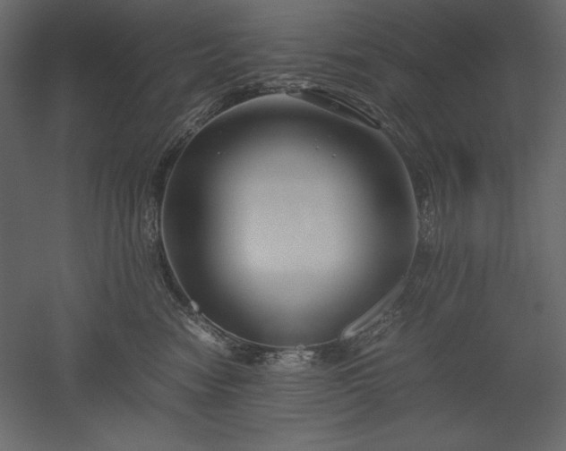 X0000051900474200507011512