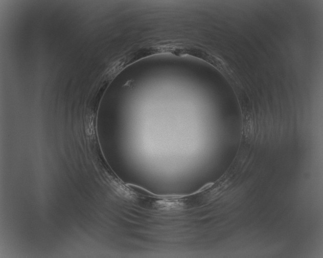 X0000051900477200507011512