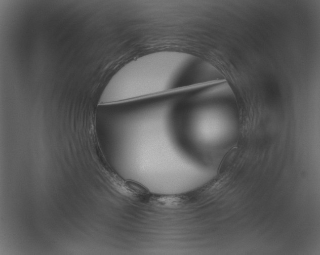 X0000051900478200507011512