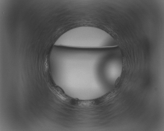 X0000051900479200507011512