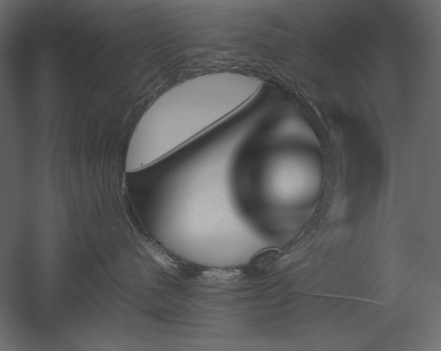 X0000051900480200507011512