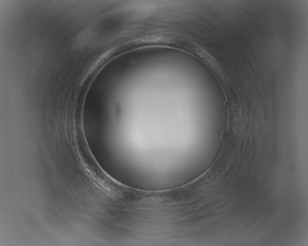 X0000051900482200507011511