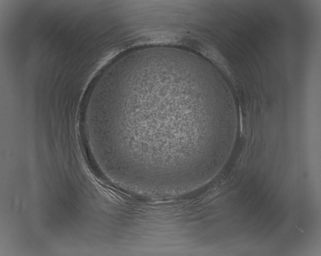X0000051900483200507011511