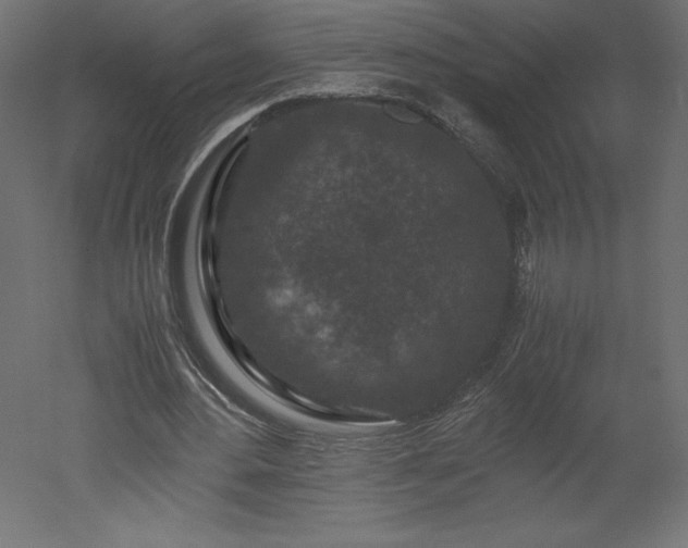 X0000051900484200507011511