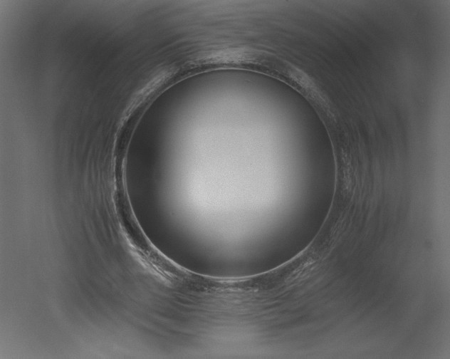 X0000051900486200507011511