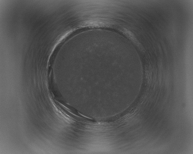 X0000051900488200507011511