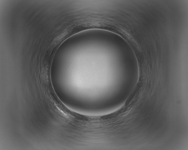 X0000051900489200507011511