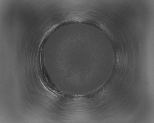X0000051900492200507011511