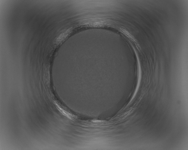 X0000051900493200507011511