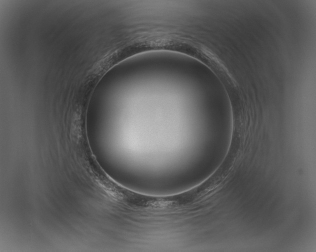 X0000051900497200507011511