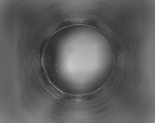 X0000051900498200507011511