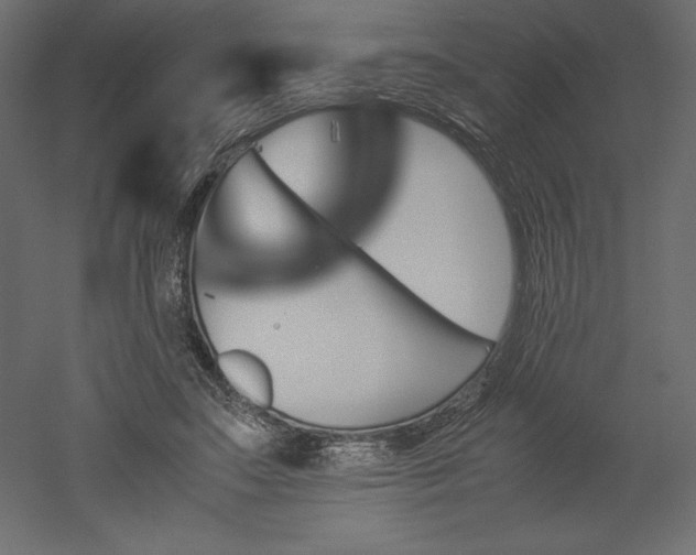 X0000051900499200507011511