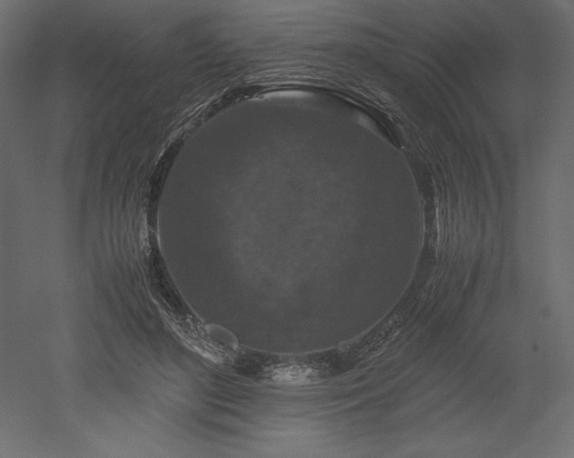 X0000051900500200507011511