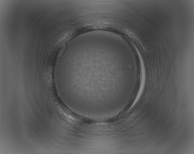 X0000051900501200507011511