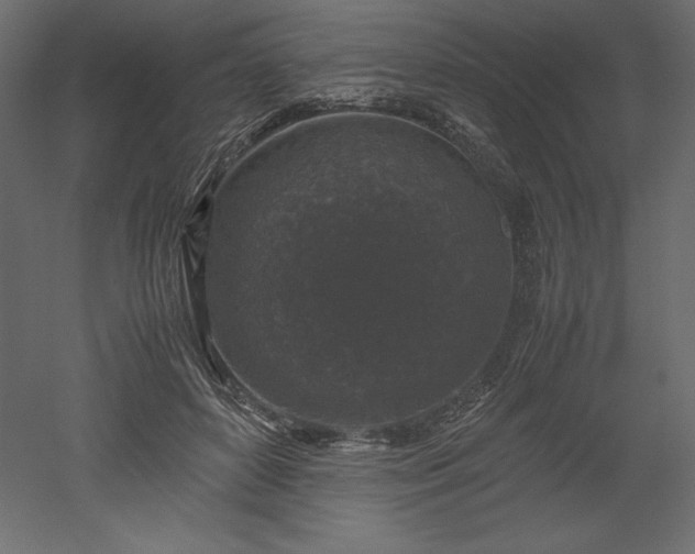 X0000051900504200507011511