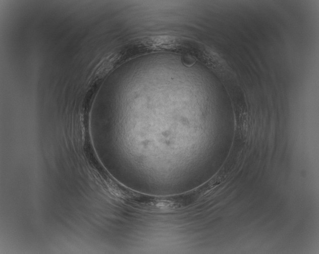 X0000051900506200507011511