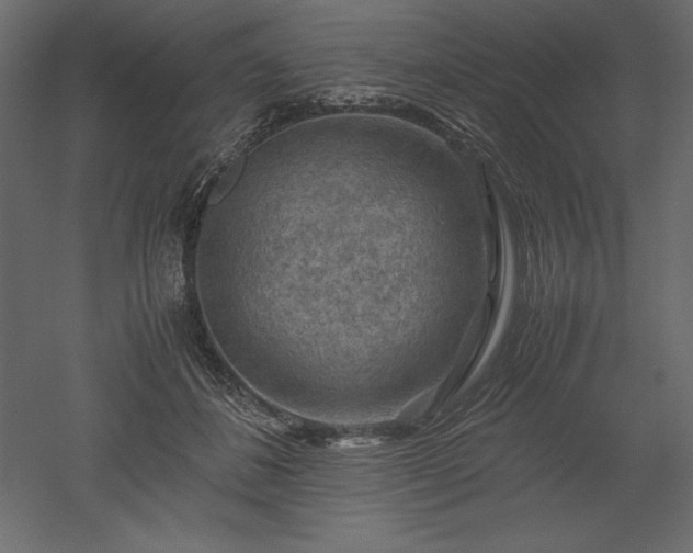 X0000051900508200507011511