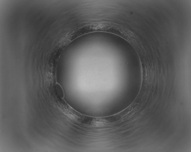 X0000051900510200507011511