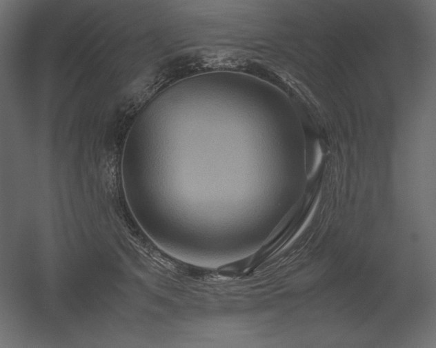 X0000051900513200507011511