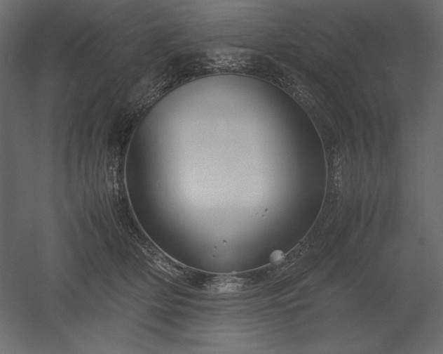 X0000051900514200507011511