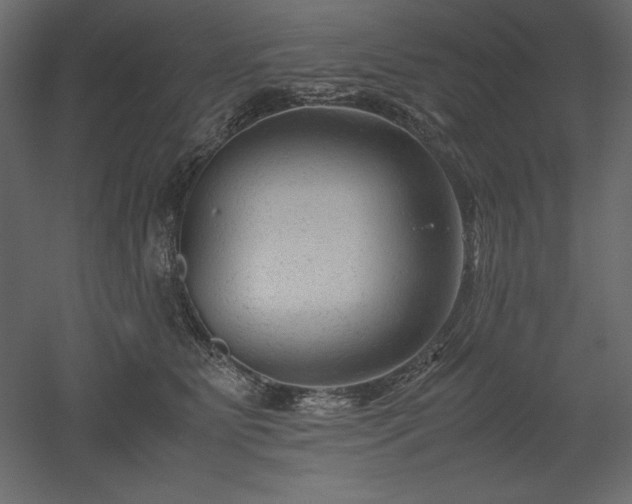 X0000051900515200507011511