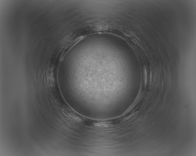 X0000051900516200507011511