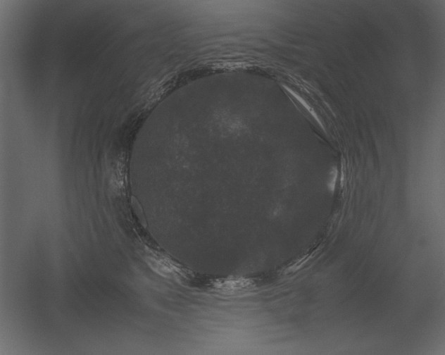 X0000051900517200507011511