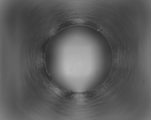 X0000051900518200507011511