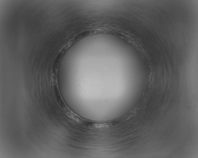 X0000051900520200507011511