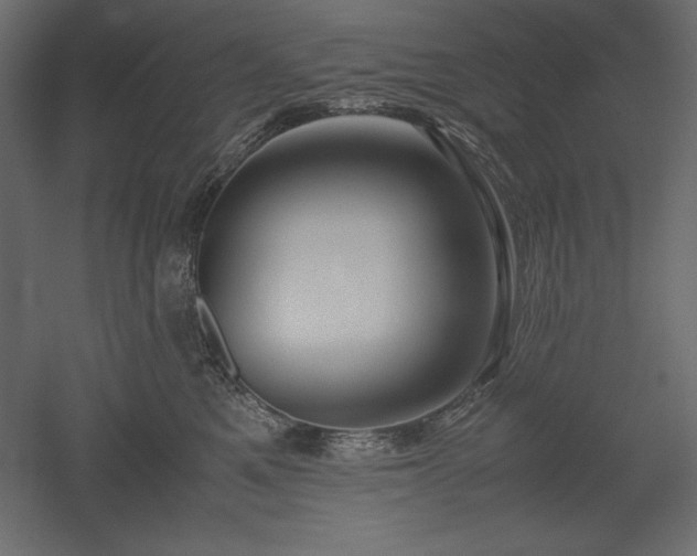 X0000051900521200507011510