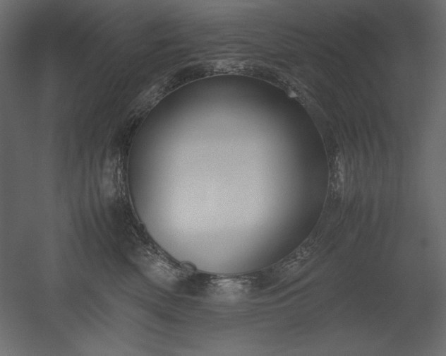 X0000051900522200507011510