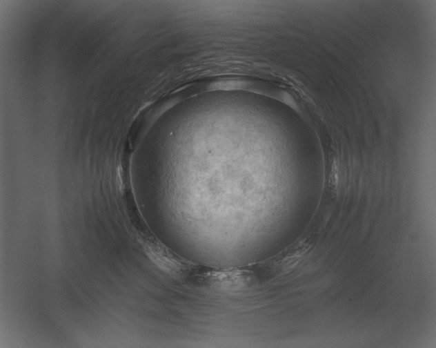 X0000051900524200507011510