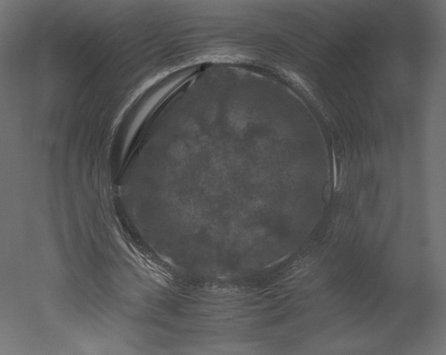 X0000051900531200507011510
