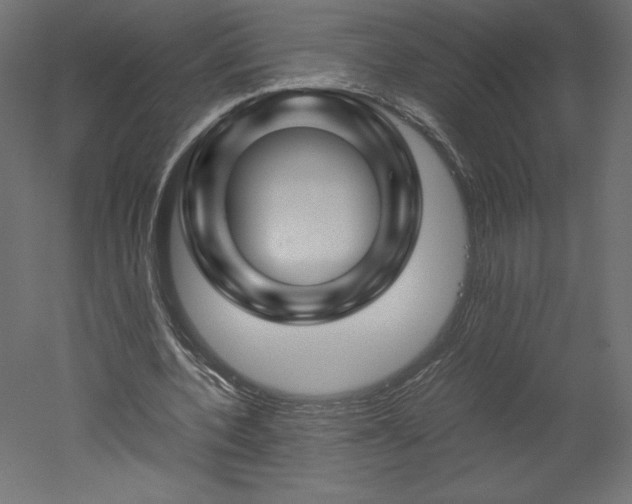 X0000051900532200507011510