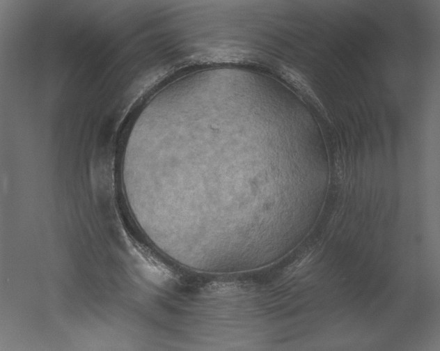 X0000051900534200507011510