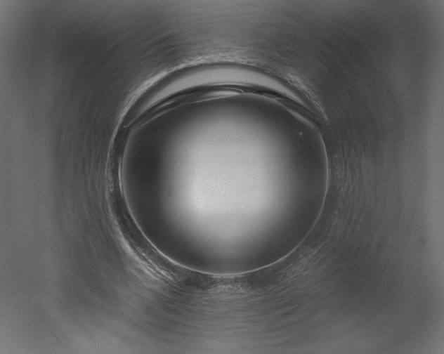 X0000051900536200507011510