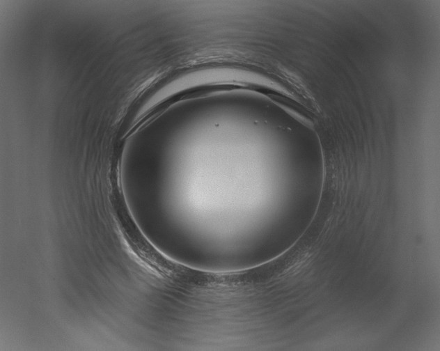 X0000051900538200507011510
