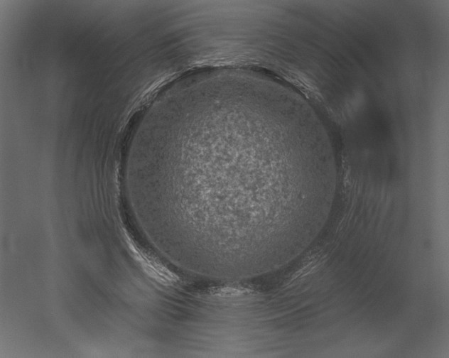 X0000051900542200507011510