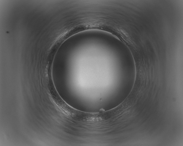 X0000051900543200507011510